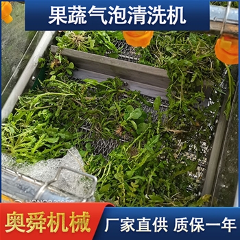 蔬菜清洗機 奧舜機械菠菜芹菜清洗機 葉菜清洗設備