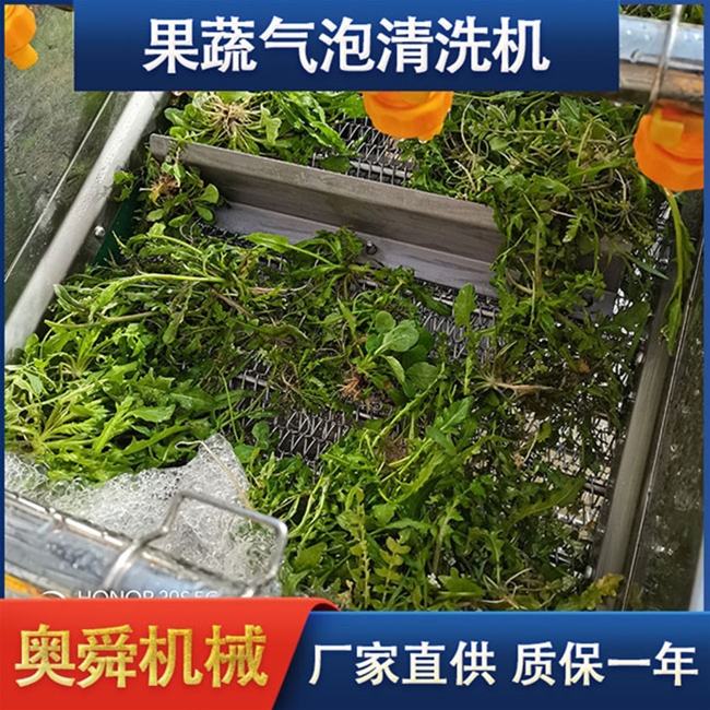 蔬菜清洗機(jī) 奧舜機(jī)械菠菜芹菜清洗機(jī) 葉菜清洗設(shè)備