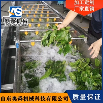 果蔬清洗機 茴香清洗機 山野菜氣泡清洗設(shè)備