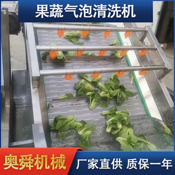 果蔬清洗機(jī) 氣泡清洗設(shè)備 葉菜類清洗機(jī)奧舜機(jī)械