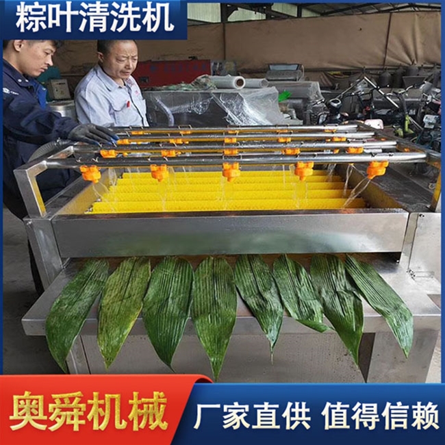 現(xiàn)貨銷售粽葉清洗機(jī) 全自動(dòng)不銹鋼氣泡沖浪荷葉清洗機(jī)