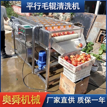 不銹鋼平行噴淋清洗機 高壓清洗白蘿卜的機器 青蘿卜去泥清洗設(shè)備