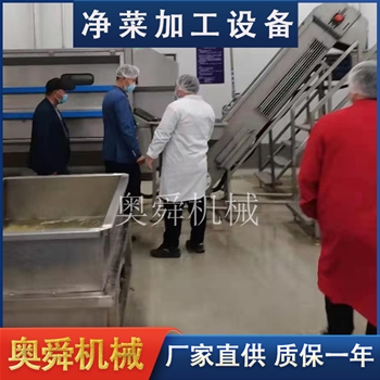 渦流清洗機 商用不銹鋼渦流洗菜機 ?學(xué)校食堂餐廳用渦流洗菜機 